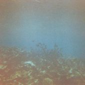  Lighthouse Reef, Belize